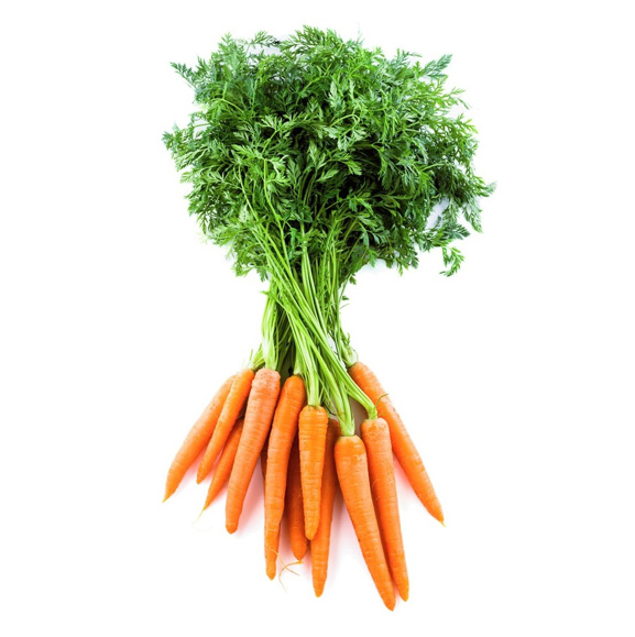 Carrot Dutch Bunch