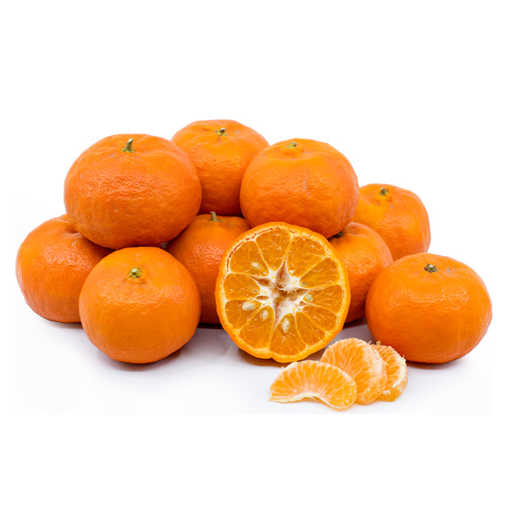 Mandarins Taylorlee