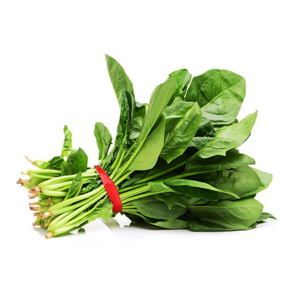 Spinach English Bunch