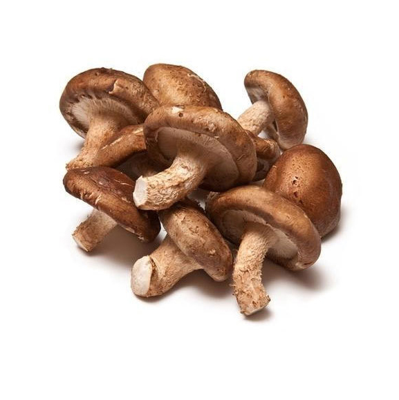 SHITAKE  Mushrooms  530g